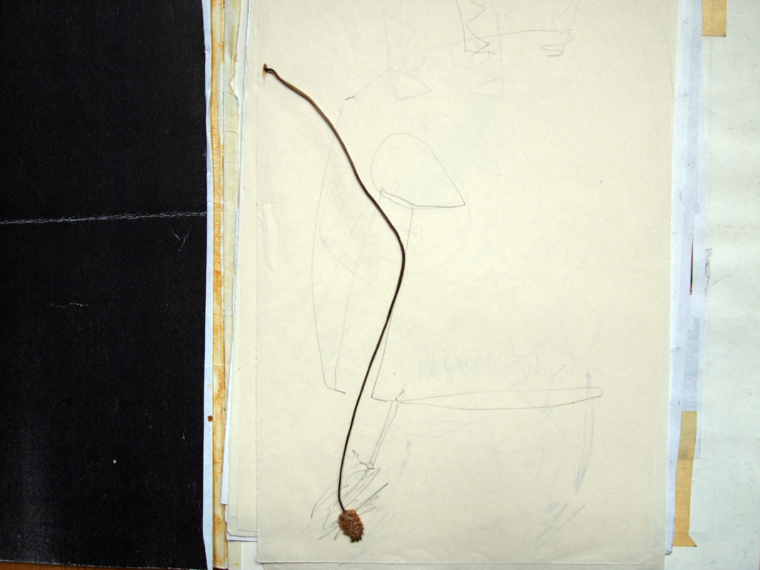 carnetto works Selection A 01