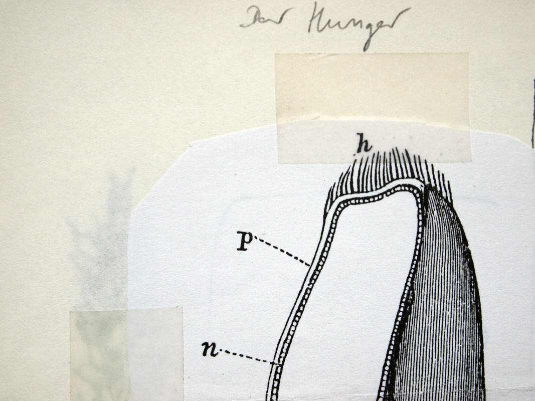 carnetto works Selection A 02