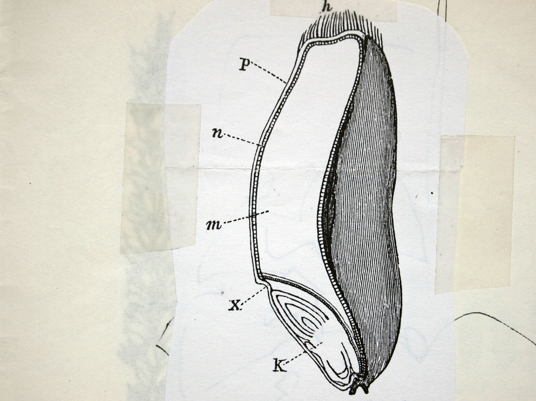 carnetto works Selection A 03