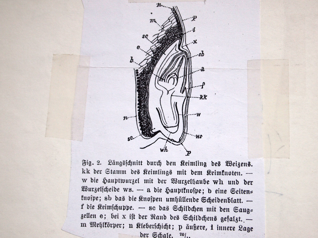 carnetto works Selection A 04