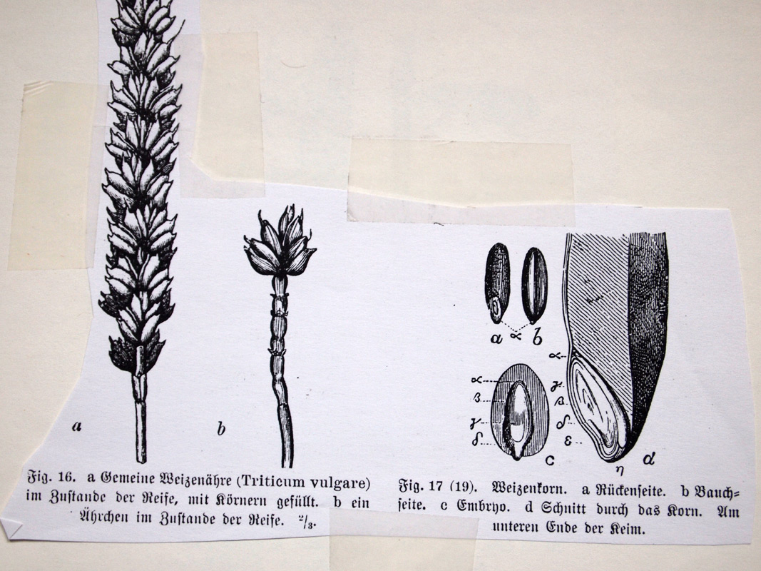 carnetto works Selection A 05