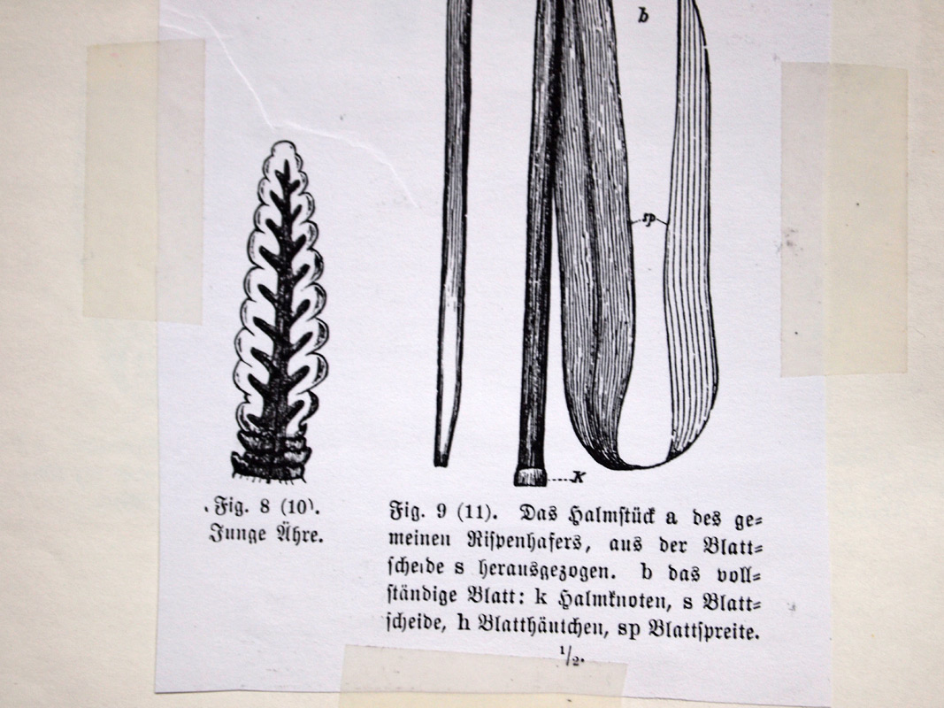 carnetto works Selection A 06