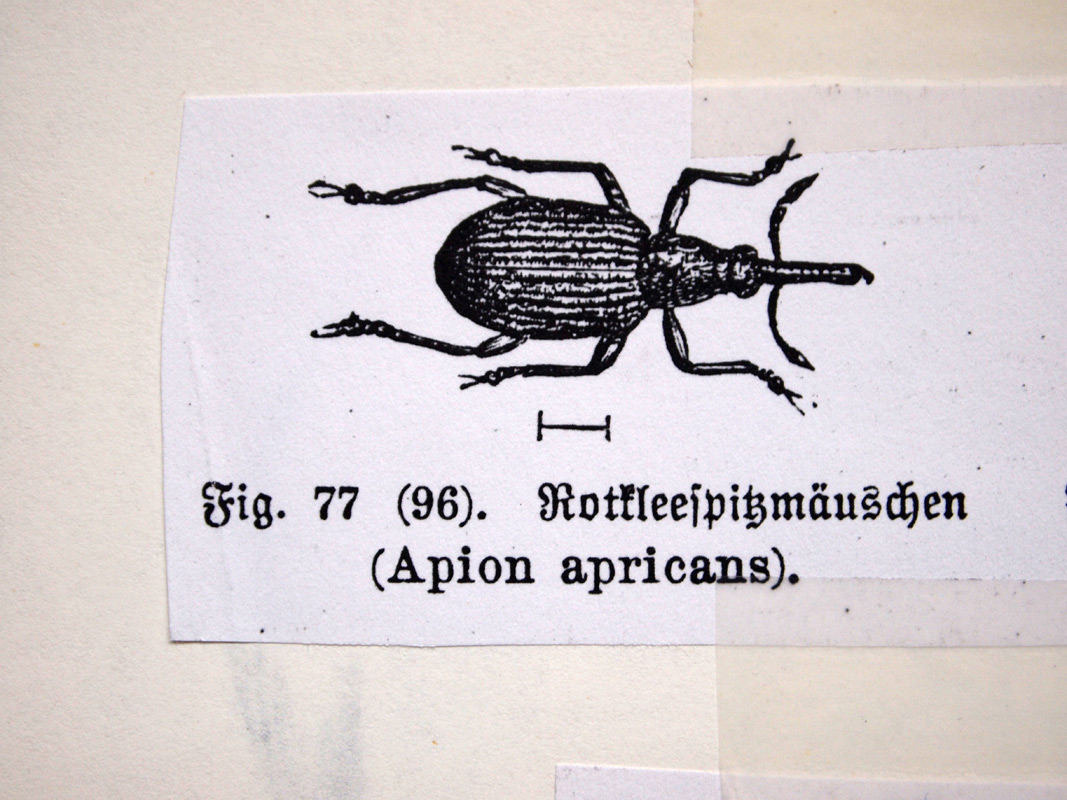 carnetto works Selection A 07