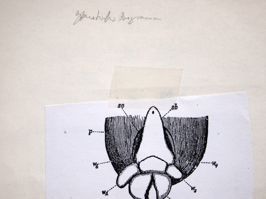 carnetto works Selection A 08