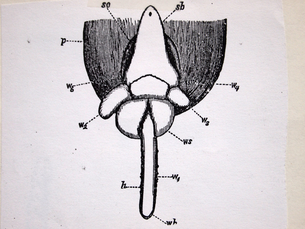 carnetto works Selection A 09