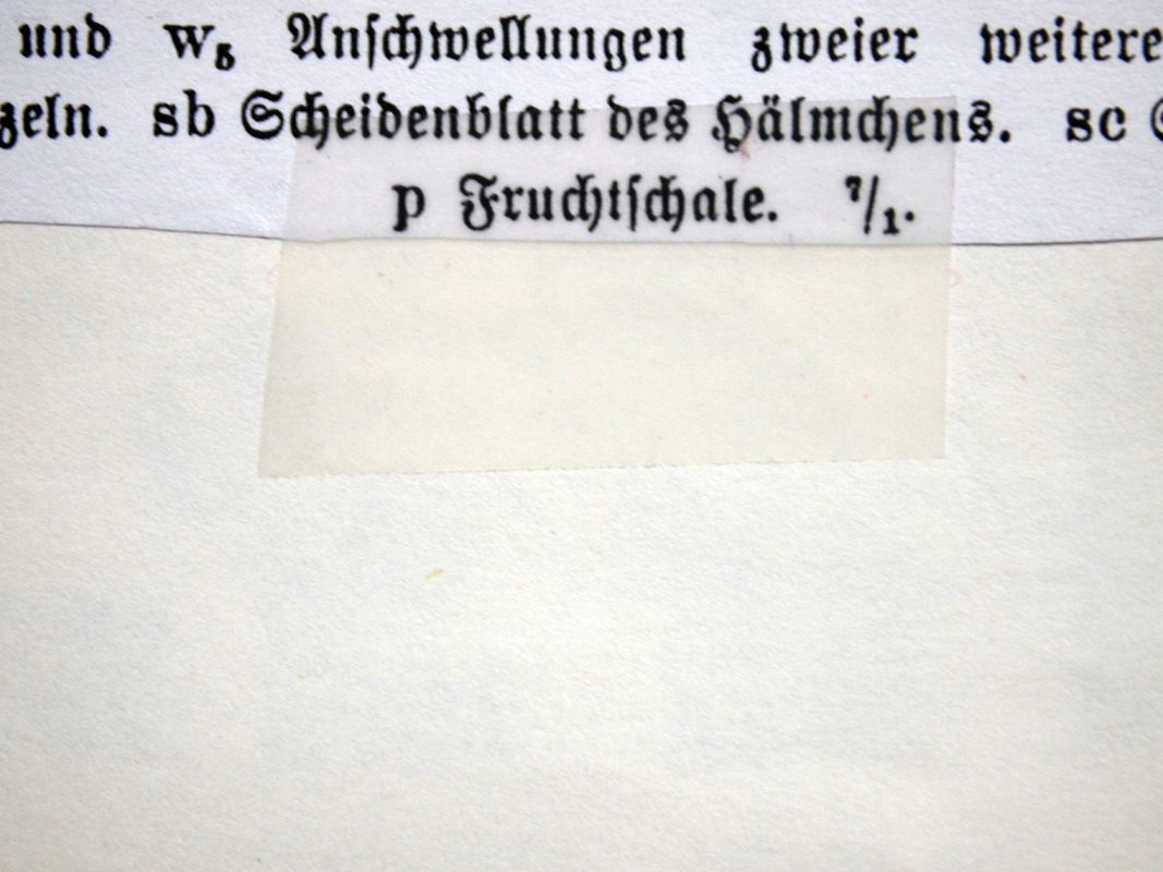 carnetto works Selection A 10