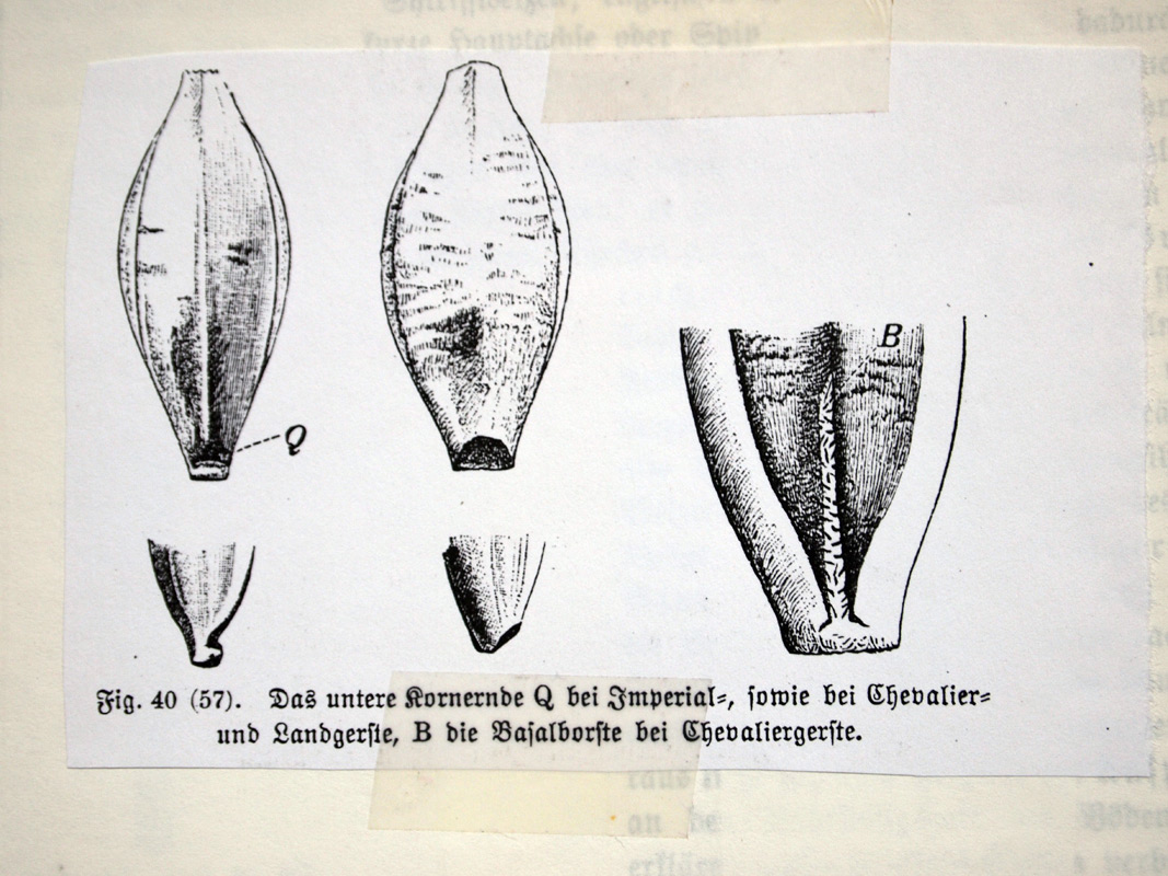 carnetto works Selection A 11