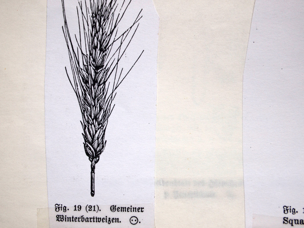 carnetto works Selection A 12